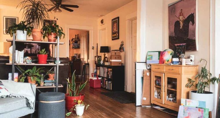 Modern 2-Bedroom Apartment for Rent